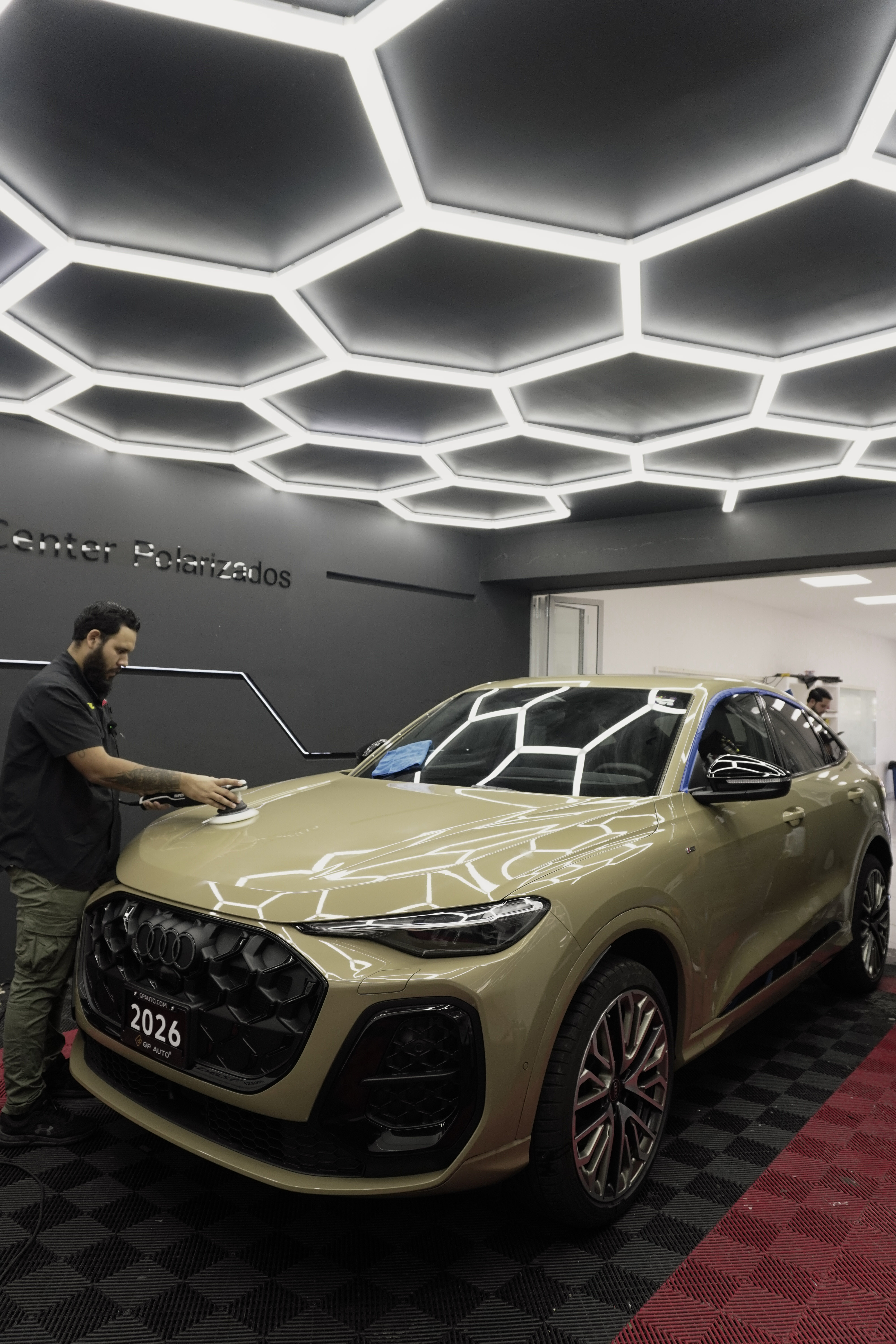 Polarizado automotriz